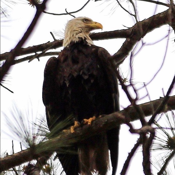 Meet your Posher, Sandi - Picture 15 of 16